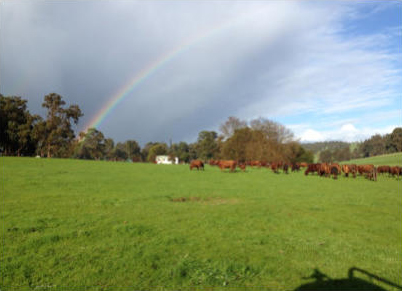 Happy Valley Free Range