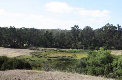 Merri Bee Organic Farm