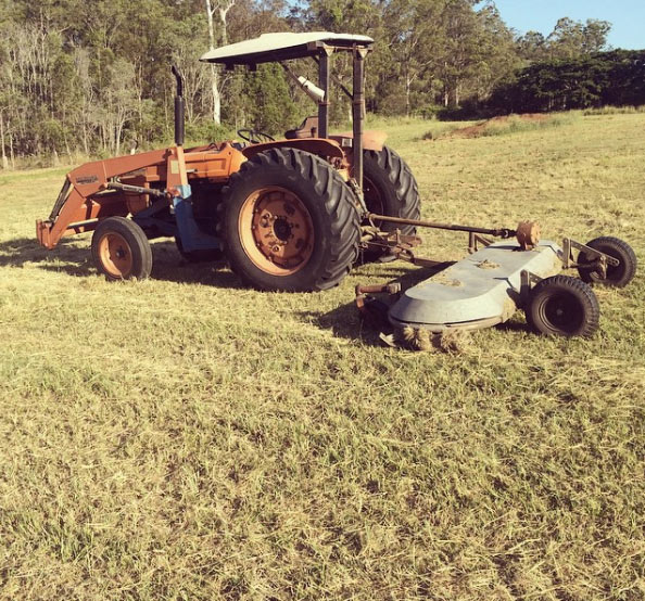 Sandy creek pastured free range